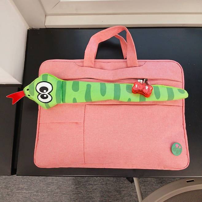 절대 안 잃어버리는 노트북 가방.jpg