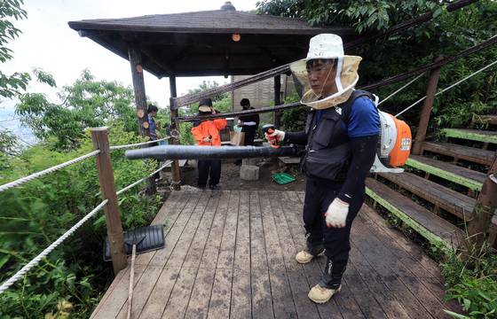 지난달 30일 오후 인천 계양구 계양산 정상에 붉은등우단털파리(러브버그) 무리가 대량 출몰한 가운데 계양구청 공원녹지과 산림보호팀 관계자들이 방역 작업을 하고 있다. 뉴스1