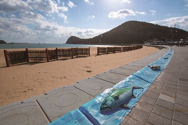 연안 정비를 마친 다대포 동측 해수욕장 (사진=사하구청)