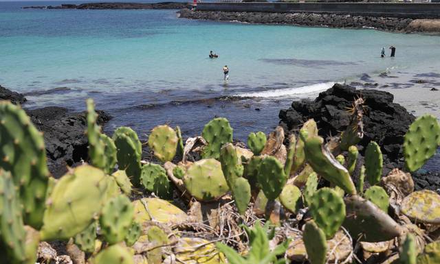 무더운 날씨를 보인 3일 오전 국내 유일 야생 선인장 군락지인 제주시 한림읍 월령리 제주올레 14코스 인근 월령포구에서 레저객들이 시원한 물놀이를 즐기고 있다. 뉴시스