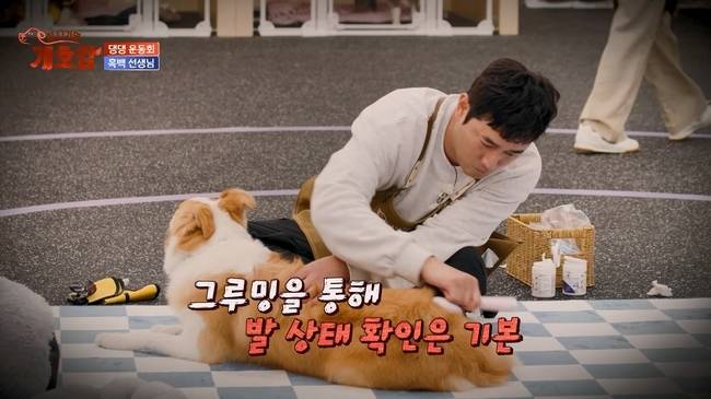 사진=JTBC ‘집 나가면 개호강’