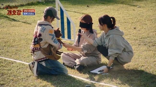 사진=JTBC ‘집 나가면 개호강’