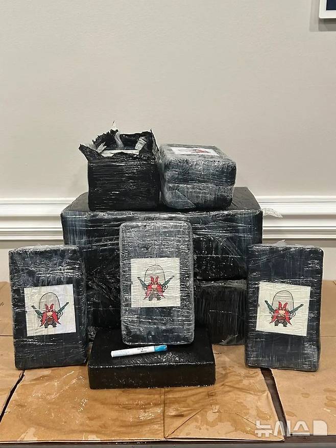 [뉴시스]플로리다 팬핸들 해변에서 만화 캐릭터 ‘요세미티 샘’이 부착된 코카인 더미가 발견됐다. (사진=뉴욕포스트) 2025.7.1