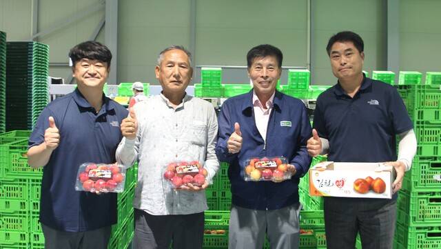 경북 김천 조마농협 김해조 조합장(왼쪽 세번째), 강용규 자두 공선출하회장(왼쪽 두번째), 박노율 전무(맨 오른쪽), 유환금 APC센터장(맨 왼쪽)이 고품질 자두를 보여주며 활짝 웃고 있다.