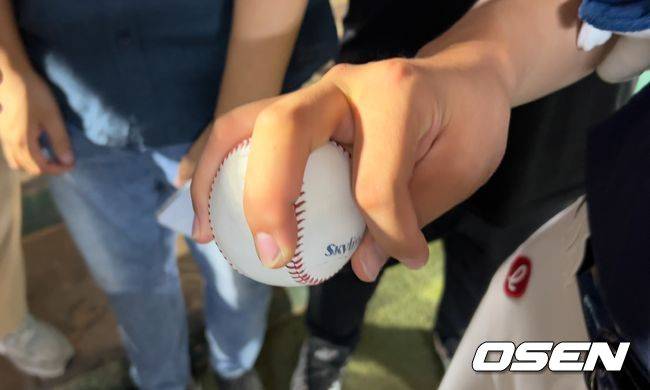 OSEN DB
