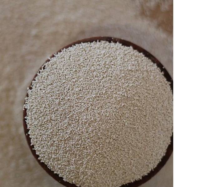 다우 포도밭에서 배양한 자연 효모. 홈페이지