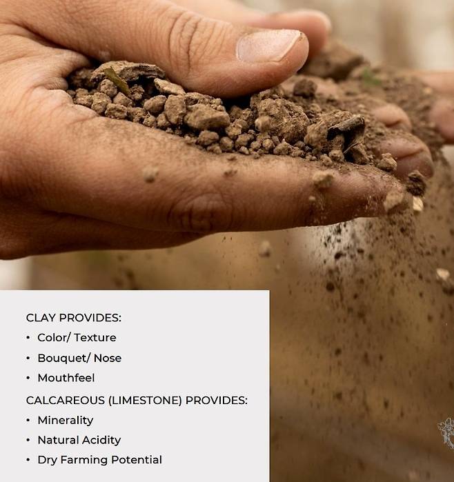 파소 로블스 토양. 다우 홈페이지.