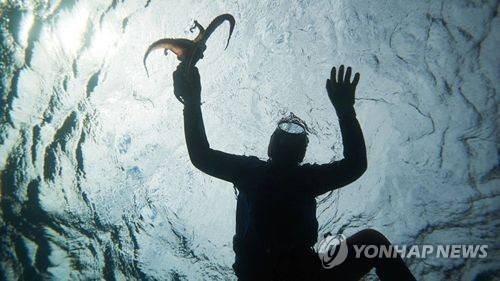 해녀 어업 [연합뉴스 자료사진]