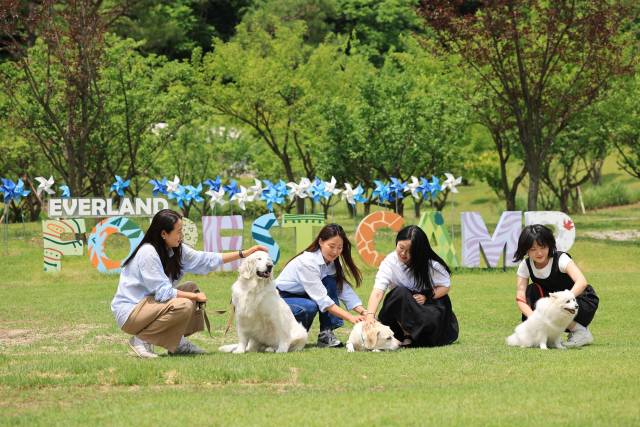 삼성물산 리조트부문 에버랜드가 반려견과 함께 숲속에서 트레킹하며 힐링할 수 있는