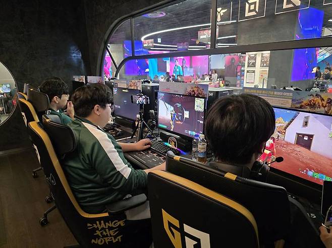 스트리머 팀