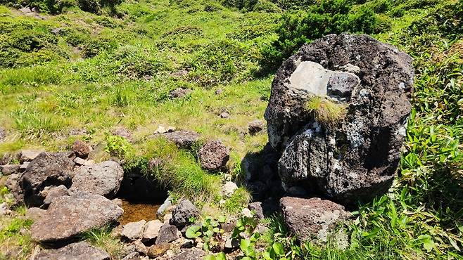 현재 폐쇄된 방아오름샘 (사진, 신동원 기자)