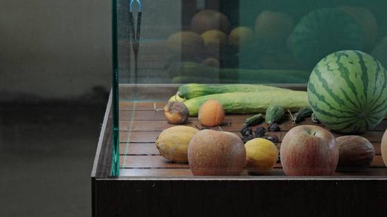 차재민 작가의 ‘광합성하는 죽음’(2024)의 한 장면. [사진 차재민]