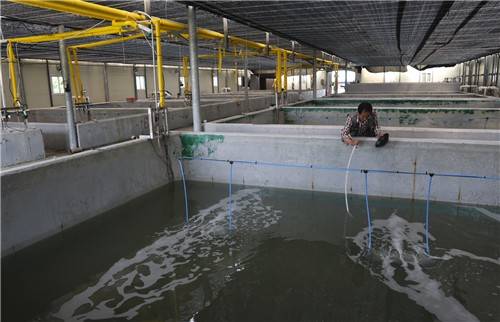인공종묘배양장 모습 [촬영 형민우]