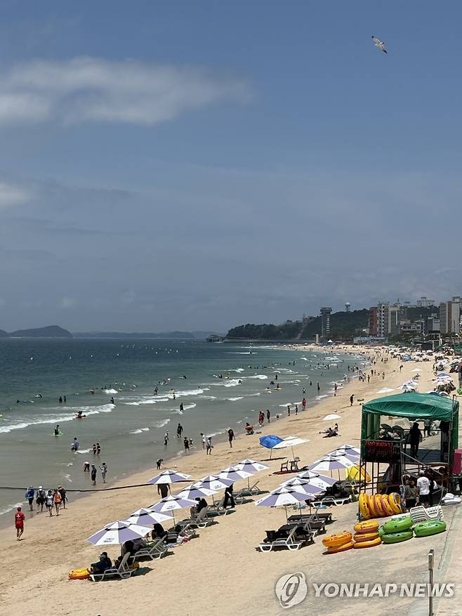 더위 피해 바다로 (보령=연합뉴스) 5일 본격적인 여름을 맞아 개장한 충남 보령시 대천해수욕장에서 피서객들이 물놀이를 즐기고 있다. 2025.7.5 [독자 한솔씨 제공] soyun@yna.co.kr
