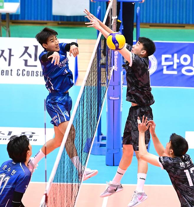 삼성화재와 국군체육부대의 경기 장면 [한국배구연맹 제공. 재판매 및 DB 금지]