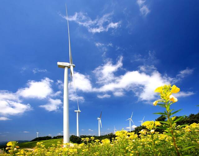 국내 최대 규모를 자랑하는 영양군 풍력단지 전경. 영양군 제공