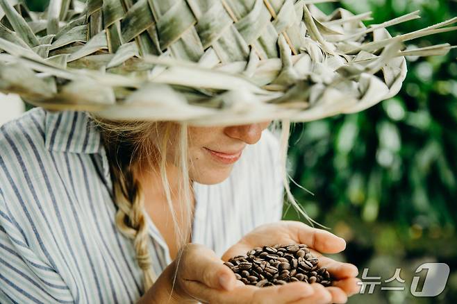 코나지역에서 진행하는 커피 투어(하와이관광청 제공)