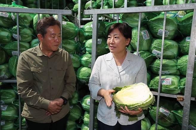 송미령 농림축산식품부 장관이 6일 강원 평창군에 있는 여름 배추 재배 현장 및 출하조절 시설을 찾아 생육 및 출하 상황을 점검하는 모습. /농림축산식품부 제공