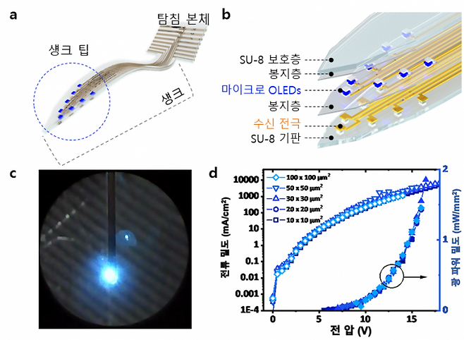유연 마이크로 OLED, 뇌에 삽입해 뉴런 자극한다