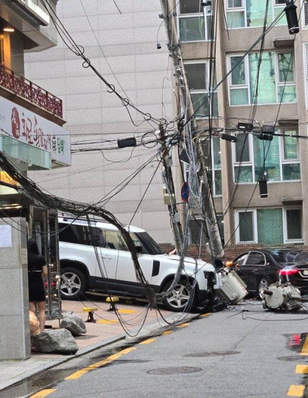 강남 발렛파킹 직원 대참사..