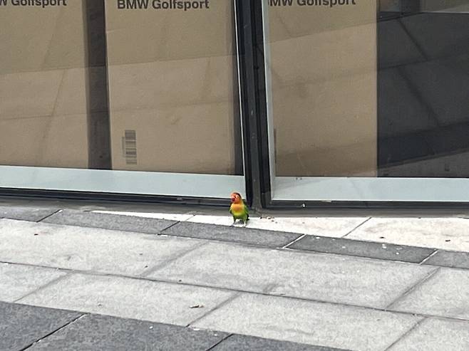 하남스타필드 영화보러갔다가 방금발견함