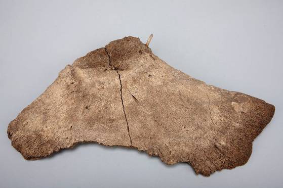 고래 척추뼈에 동물 뼈로 만든 작살촉이 박힌 '골촉박힌 고래뼈' 유물. 사진 울산시