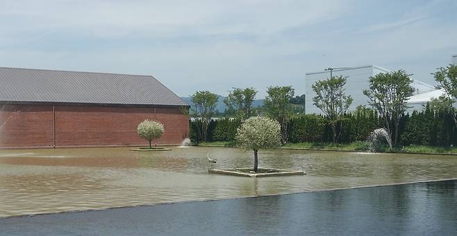 포프리 본사 로비에서 밖으로 보이는 연못.