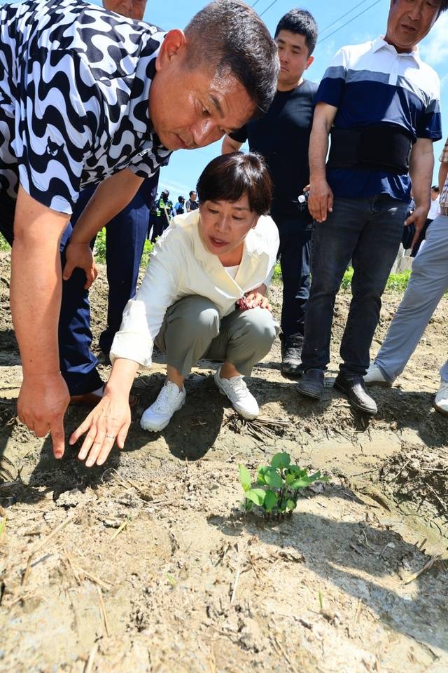 송미령 농림축산식품부 장관(가운데)이 29일 전북 부안군 행안면 논콩전문생산단지를 방문해 재배 현황을 점검하고 있다. 농림축산식품부