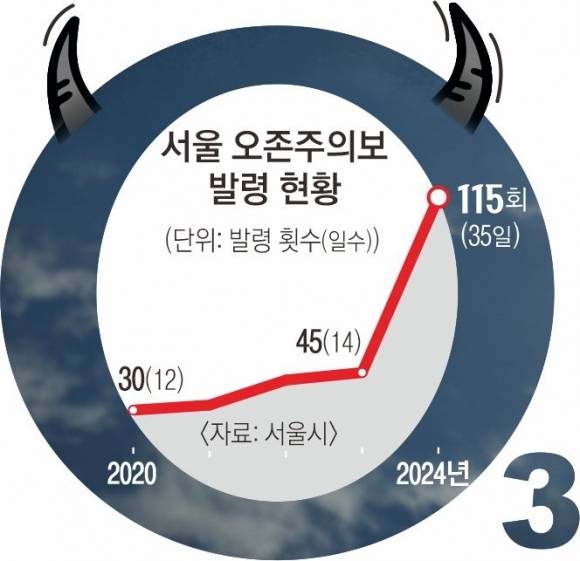 강미란 비주얼뉴스부 기자