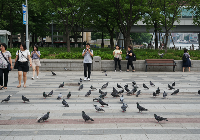 기사 내용 이해를 돕기 위해 AI 이미지 생성기로 만든 사진. 툴 제공 = 플라멜