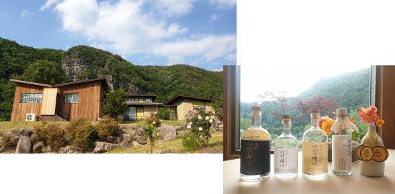 경북 안동 ‘밀과노닐다’ 양조장(왼쪽)과 대표 제품인 진맥소주. 명욱 제공