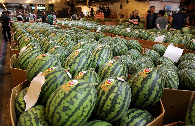 서울 송파구 가락동농수산물도매시장에서 출하된 수박이 판매를 기다리고 있다.(사진=연합뉴스)