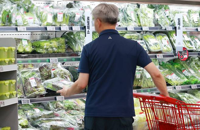 서울의 한 대형마트에서 장을 보는 시민. (사진=연합뉴스)