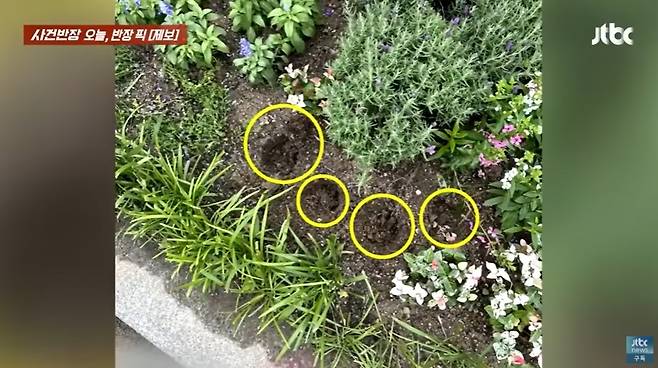 (JTBC '사건반장' 갈무리)