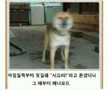 1000026578.jpg 오랜만에 보는 제목학원