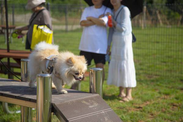 안성맞춤랜드. 경기관광공사 제공
