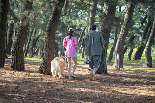 화성궁평오솔로파크. 경기관광공사 제공