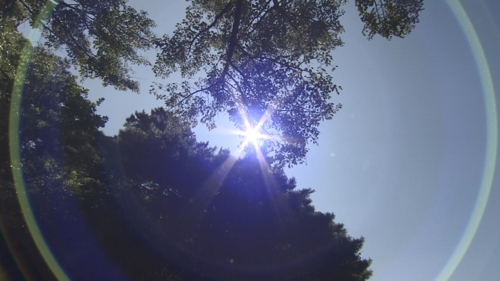 폭염. [사진 출처 = 연합뉴스]