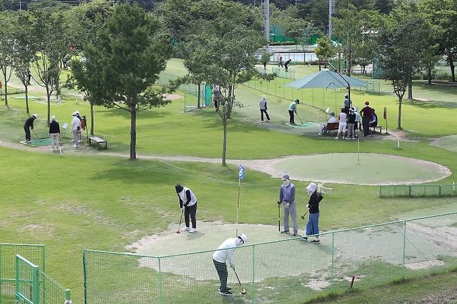 ▲대구 수성구 팔현파크골프장을 찾은 동호인들이 파크골프를 즐기고 있다. /사진=뉴스1