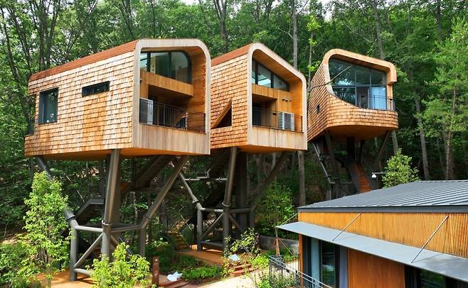 수락휴 트리하우스. /사진제공=노원구