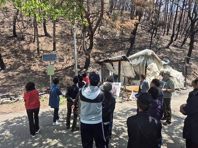 [주왕산국립공원사무소 제공]