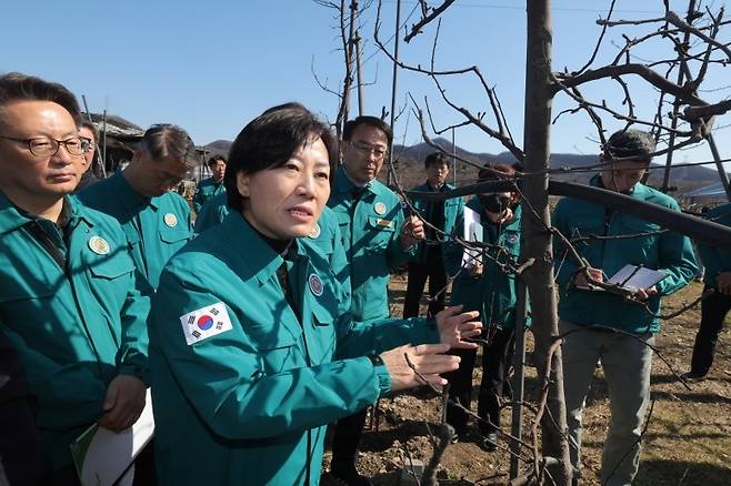 송미령 농림축산식품부 장관이 30일 산불 피해를 본 경북 의성군의 한 과수원을 찾아 현장 점검을 하고 있다.  [농림축산식품부 제공]