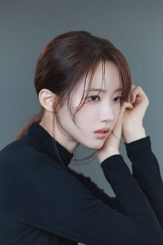 IHQ 제공