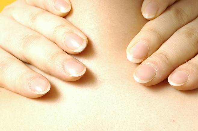 손가락 이미지. 아이클릭아트