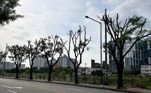 사진 제공=전북환경운동연합