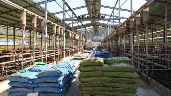 '트윈팜'의 내부 모습.