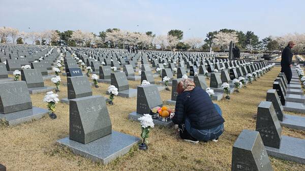 ⓒ제주의소리 자료사진