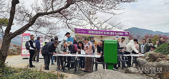 전남을 대표하는 봄꽃 축제인 광양 매화축제가 늦은 개화로 예전 방문객의 절반에도 못미치는 관광객을 유치한데 머무르며 아쉬움 속에 막을 내렸다.
