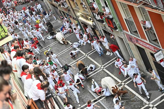 7일(현지시간) 스페인 팜프로나에서 열린 산 페르민 축제의 '엔시에로'에서 참가자들이 황소와 함께 달리다 넘어지고 있다. ⓒ AFP=뉴스1