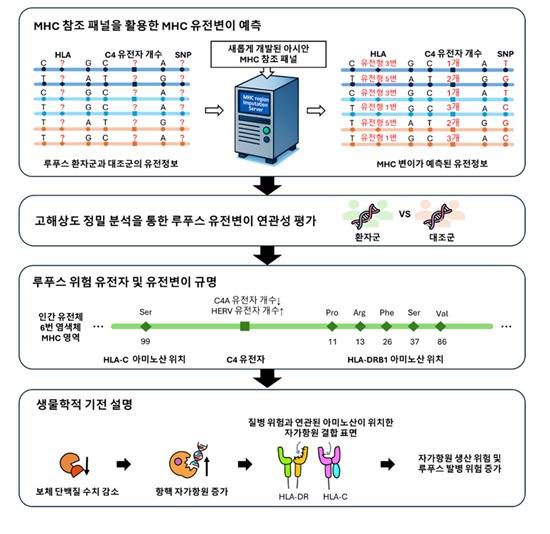 배상철 한양대류마티스병원 교수팀 등 연구 성과.(한양대병원 제공)